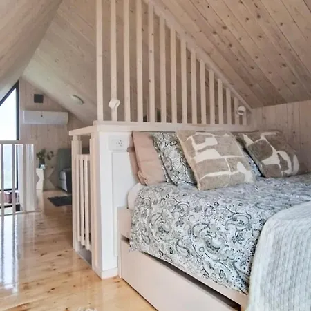 Dom wakacyjny Porta Rudnik